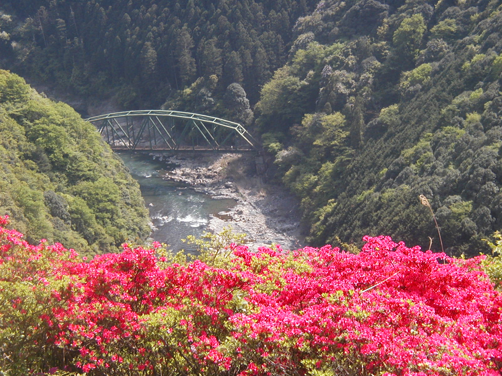 c0050801_1240477.jpg