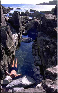 c0057810_15205271.jpg