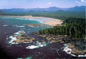 c0057810_9342453.jpg