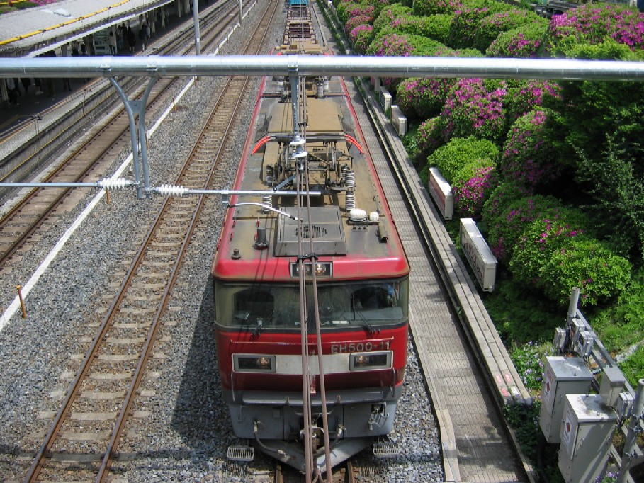 d0044222_1203578.jpg