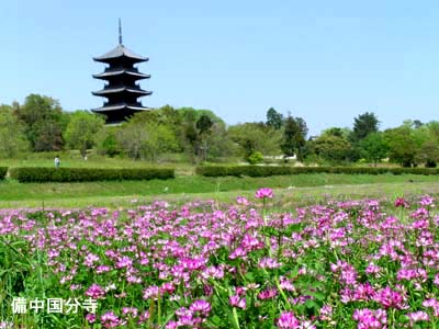 d0029829_133166.jpg