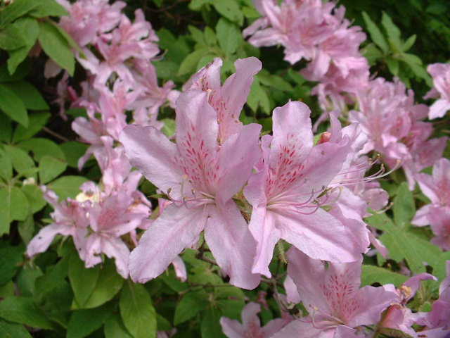 b0025633_21263531.jpg