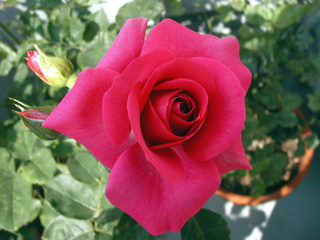 c0048042_0204380.jpg