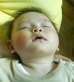 c0029051_21535354.jpg