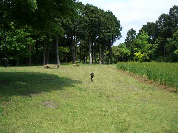 d0004968_233149.jpg