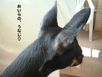 c0012571_1115430.gif