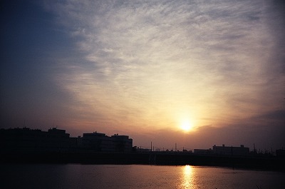 d0024578_11471775.jpg