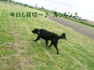 c0050400_1852495.jpg