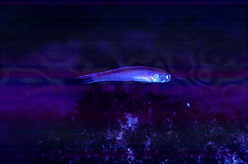 c0064907_010173.jpg