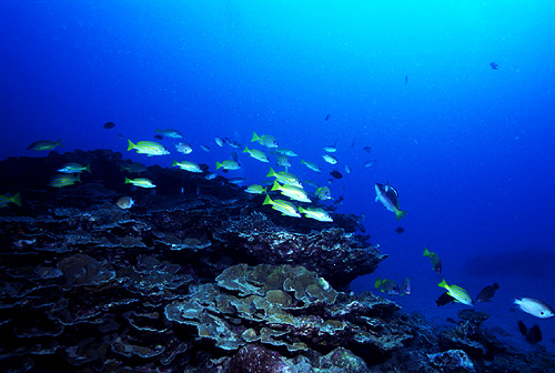 c0064907_1893357.jpg