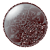 b0052317_22122551.gif