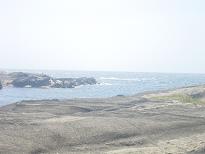 c0039526_1174924.jpg