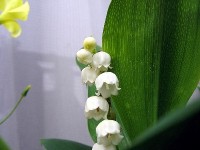 c0033541_1892940.jpg