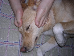 c0065643_16115214.jpg