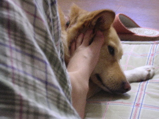 c0065643_16131050.jpg