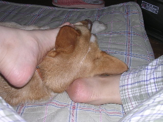 c0065643_16142930.jpg