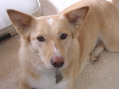 c0065643_1682620.jpg