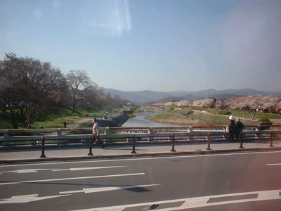 a0018572_15455656.gif