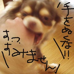 c0036617_1712171.jpg