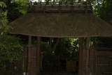 b0008526_23151952.jpg