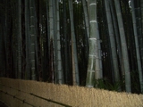 b0008526_23155837.jpg