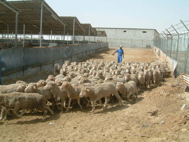 c0011649_1345.jpg