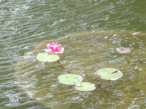 c0069552_141292.jpg