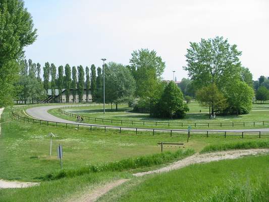 d0047461_5174347.jpg