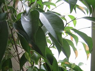 c0070968_044377.jpg