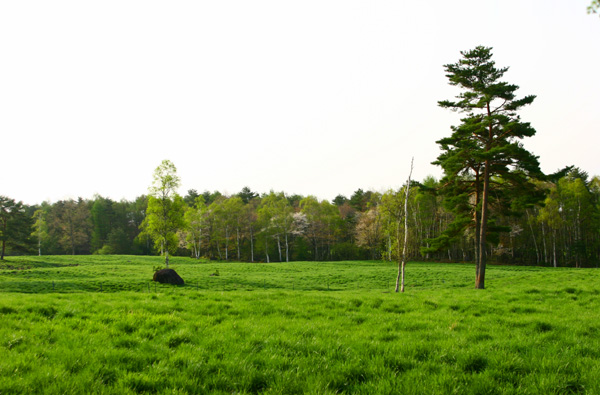 c0032494_11314421.jpg