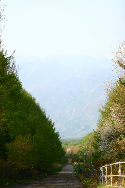 c0032494_1139343.jpg
