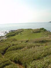 c0008598_17102749.jpg