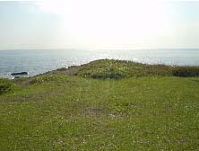 c0008598_17132730.jpg