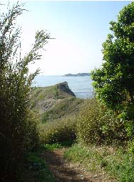 c0008598_1774847.jpg