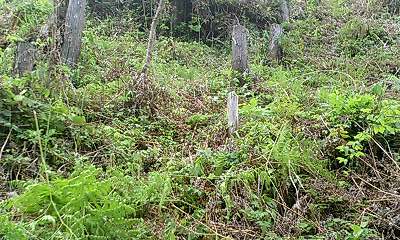 b0051713_2155981.jpg