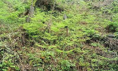 b0051713_215795.jpg