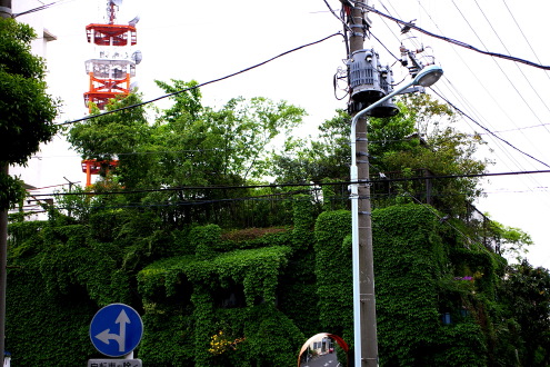 b0053019_0231516.jpg