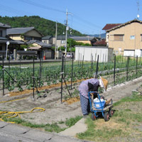 d0033734_1235927.jpg
