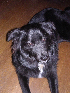 c0065643_1457774.jpg