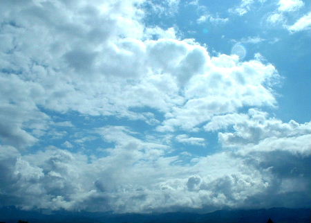 b0015260_913124.jpg