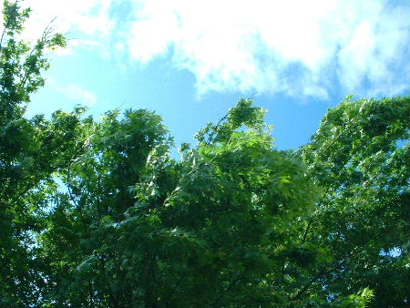 b0015260_9174848.jpg