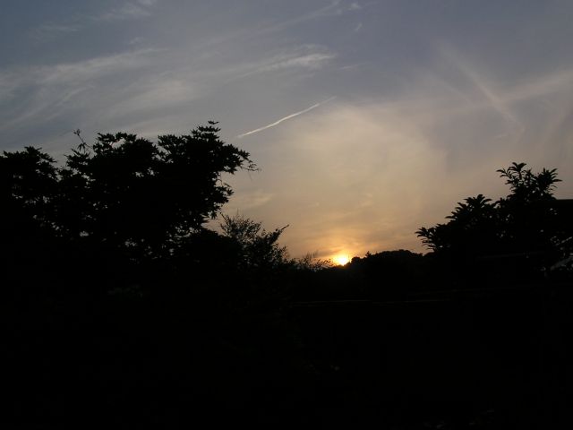 c0042869_22415926.jpg