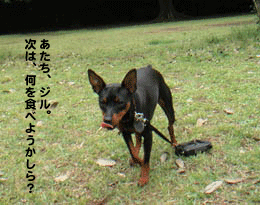 c0012571_1275495.gif