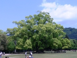 d0042474_19191744.jpg