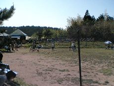 d0035482_11293771.jpg