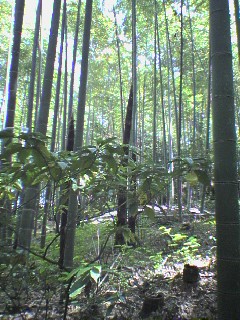 d0049221_21305499.jpg