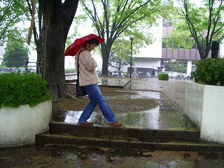 b0009029_232260.jpg
