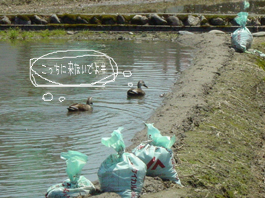 c0000134_14333440.jpg