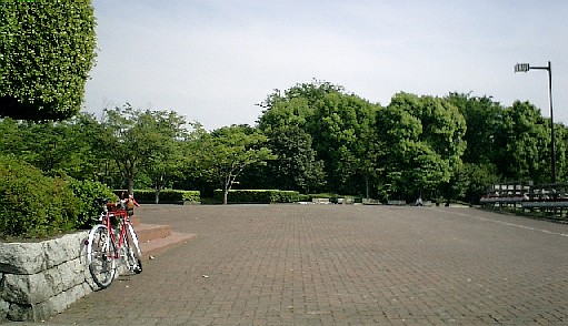 b0066747_0392029.jpg