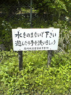 d0008162_23132818.jpg